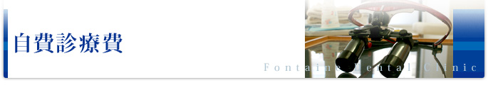 自費診療費